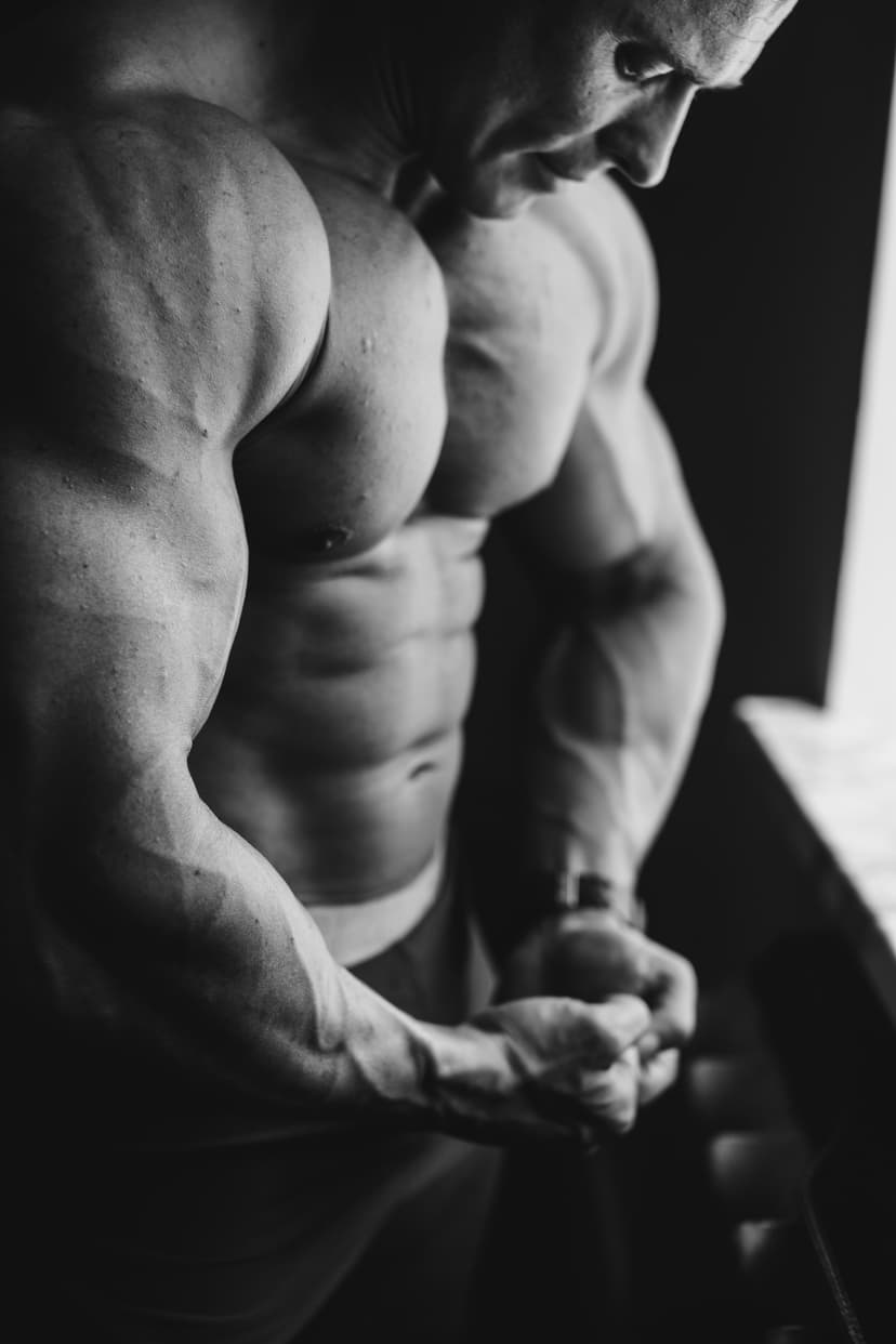 Hipertrofia Muscular